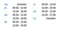 Openingstijden overzicht